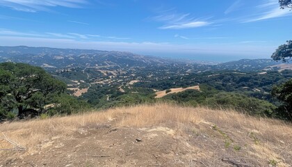 Fototapeta premium Grassy hillside beneath a clear blue sky featuring a solitary oak tree offering shade