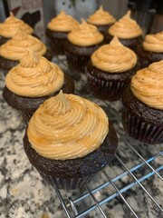 caramel and chocolate cupcakes in a row