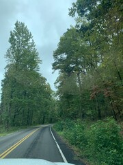 Naklejka premium road in the woods