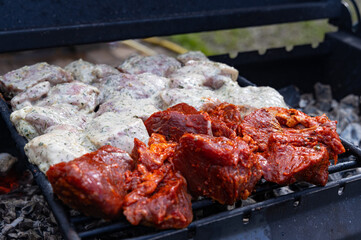 A close-up image of various meats, some marinated in a white sauce and others in a red marinade, grilling on a hot grill. The meat is sizzling and releasing a delicious aroma.