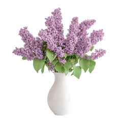 Lush bouquet of lilac in vase isolated on white background