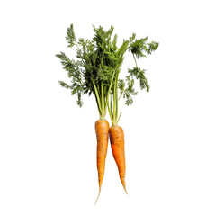 Two fresh carrots with green leaves on a white background, isolated organic vegetables, vibrant and healthy root crops ideal for natural food and clean eating concepts