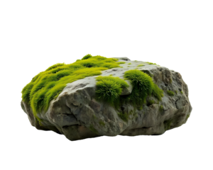 Small mossy rock transparent image. Ai generated
