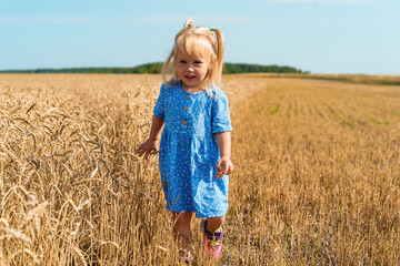 Little child girl in a field of wheat ears, beautiful natural background