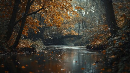 Autumn Forest Stream: A Tranquil Scene with Orange Leaves Reflecting in Calm Water