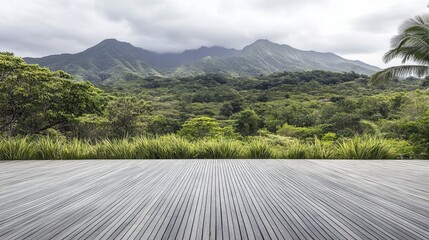 Lush Tropical Landscape with Wooden Deck Overlooking Mountains
