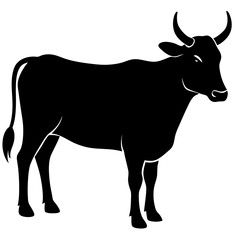 silhouette of a cow