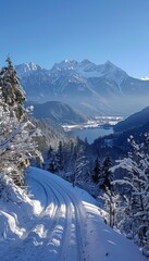 Scenic mountain trail blanketed in soft snow with lush pine trees under a clear blue sky