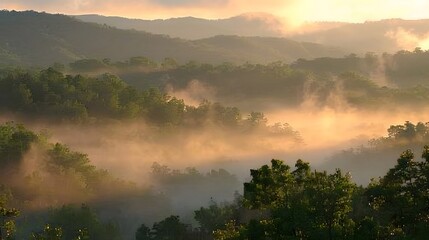 Fototapeta premium Misty Mountain Sunrise Over Lush Green Valley