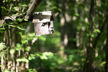 A quaint birdhouse sways gently from a tree branch in a lush forest, blending seamlessly with the serene natural surroundings.