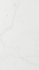 Obraz premium Natural white marble texture with delicate grey veining and smooth polished surface, white, architecture