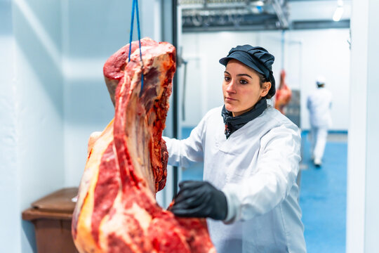 Woman working in cold room storage of a meat factory - Powered by Adobe
