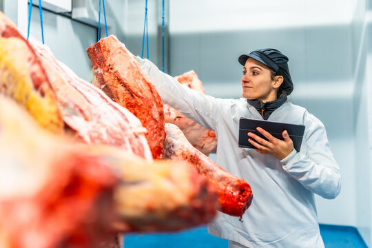 Female butcher using digital tablet analyzing products at cold room - Powered by Adobe