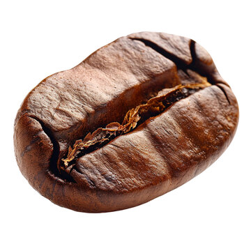 recommend clip art: Delicious coffee bean clip art