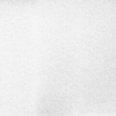 Photo of high resolution paper texture (5000x5000px) with 600 DPI Background