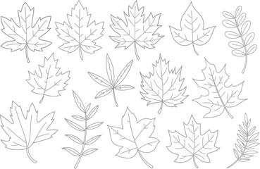 Fototapeta premium seamless background with leaves