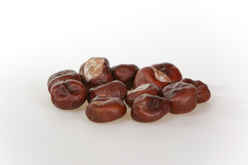 A chestnuts on a white background