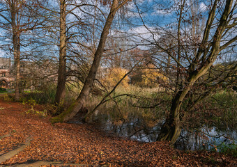 Obraz premium Herbstspaziergang durch den Alten Botanischen Garten