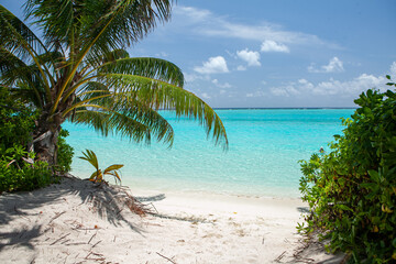 Crystal-clear waters lap gently against white sandy shores, framed by graceful palm leaves under a bright blue sky.