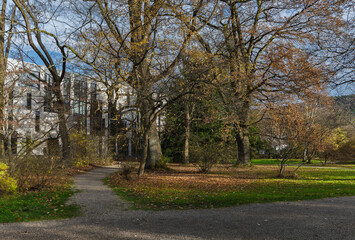 Herbstspaziergang durch den Alten Botanischen Garten