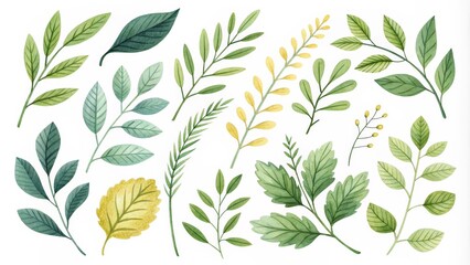 Watercolor Green and Yellow Leaf Botanical Illustration, Watercolor Leaves, Green Leaves , Botanical Illustration