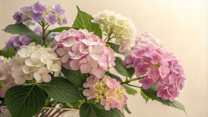 Fototapeta premium Soft Pastel Hydrangea Bouquet, Close-up, Flower, Bloom , hydrangea, floral