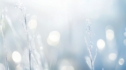 Ethereal abstract visuals featuring soft, flowing textures in pale blue, silver, and white. The serene composition evokes a tranquil, misty atmosphere with hints of subtle motion and light.
