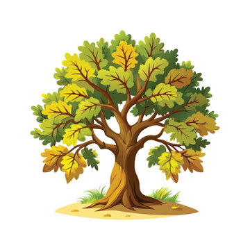 recommend clip art: Realistic oak tree vector shilhouette on whiteRealistic oak tree vector shilhouette on white