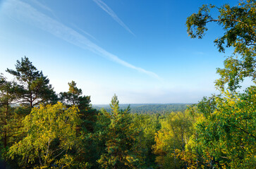 Point of view of the Cuvier Châtillon rock in Fontainebleau forest