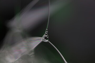 Silver liquid connections, bubble in macro, movement of liquid in a bubble, abstract background, surrealistic flow