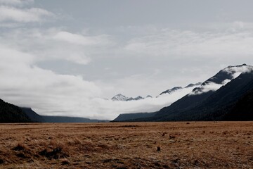 Processed with VSCO with m5 preset