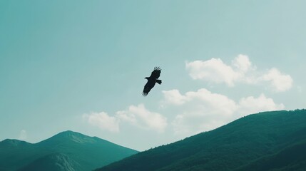 Fototapeta premium Bald eagle flying over a mountain range, wide wingspan, minimal clouds in the sky,