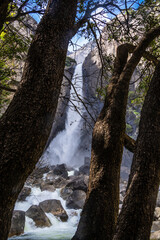 waterfall in the woods