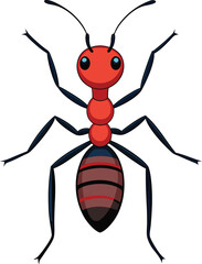 ant vector