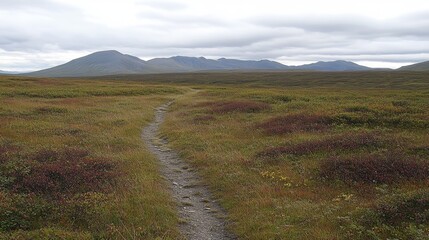 Rugged Tundra Landscape with Winding Trail and Distant Mountains