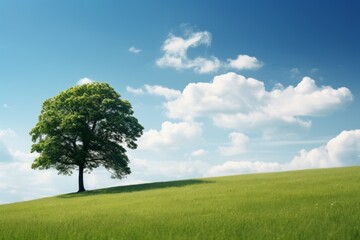 Fototapeta premium Romantic Hilltop Tree in Azure and Green Panorama