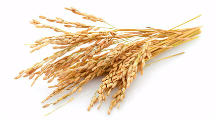 Close-up of a flower with multicolored petals.