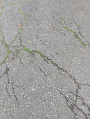 Cracks in the road. Old road surface