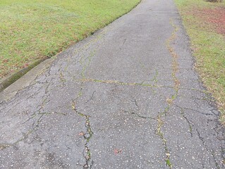 Cracks in the road. Old road surface
