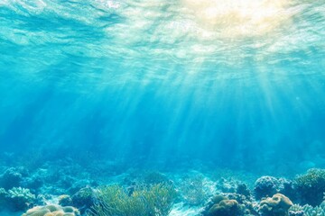 Fototapeta premium Underwater Sunlight Beams Through Crystal Clear Ocean Water With Coral Reefs