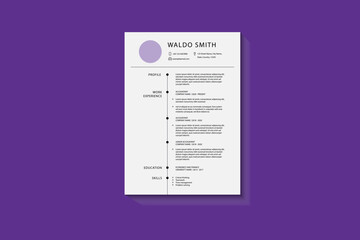 Clean, Modern and Professional Resume CV Templates