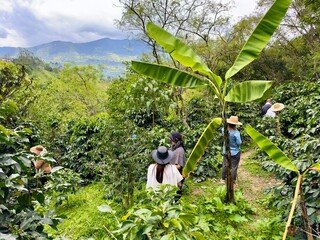Kaffeefarm in Kolumbien