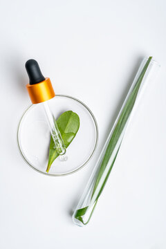 Leaf and dropper in laboratory setting symbolize natural science