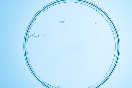 Close-up view of bubbles in liquid in a petri dish on blue background