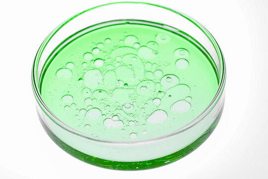 Green liquid with bubbles in a petri dish close-up macro view