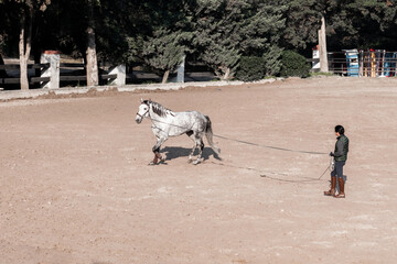 Horse training in an outdoor arena with a handler