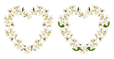 Festive frame of jasmine flowers in the shape of a heart isolated on a white background. Design element for Valentine's Day cards, stickers, prints, wedding cards and invitations. Flower heart. 