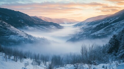 Serene Winter Wonderland: A Breathtaking Landscape of Snow and Mist