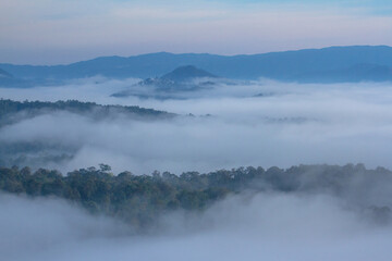fog in the mountains