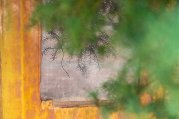 The weathered surface of an electrical box, surrounded by metal and rust, reflects the interaction between man-made objects and nature's relentless forces, creating a captivating story of neglect